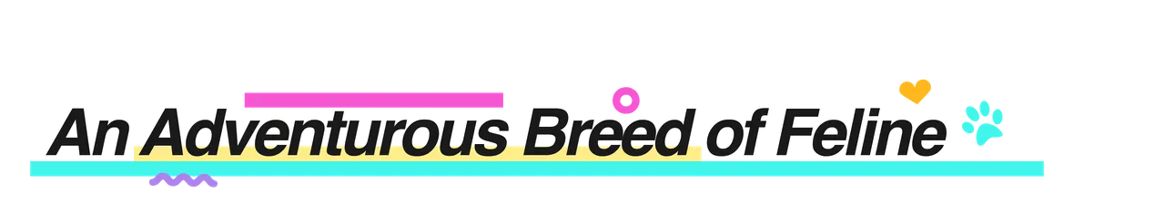 CreativeCrypto_CK_KittyVerse Adventure.png