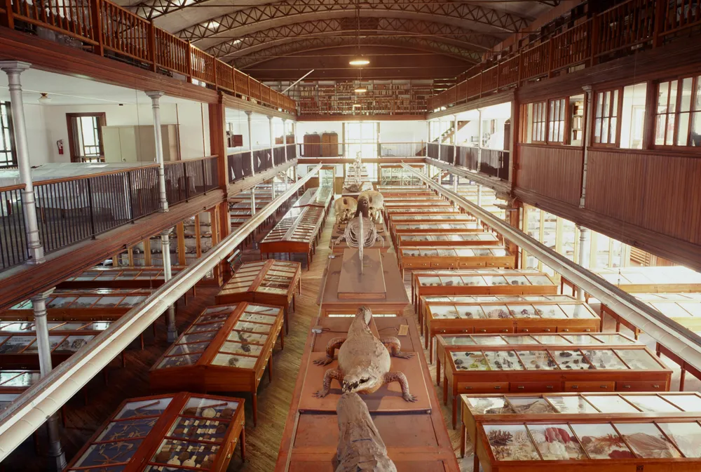 Wagner_Museum_Graham.jpg