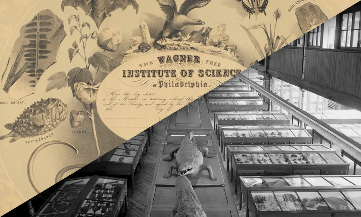 The Wagner Free Institute-Thumbnail.png
