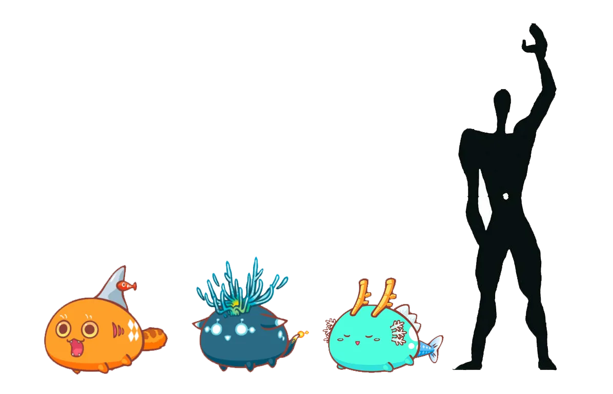 axie_height.png