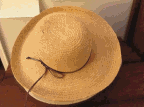 hat blend2.gif