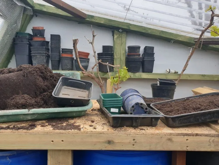 greenhouse update shelving