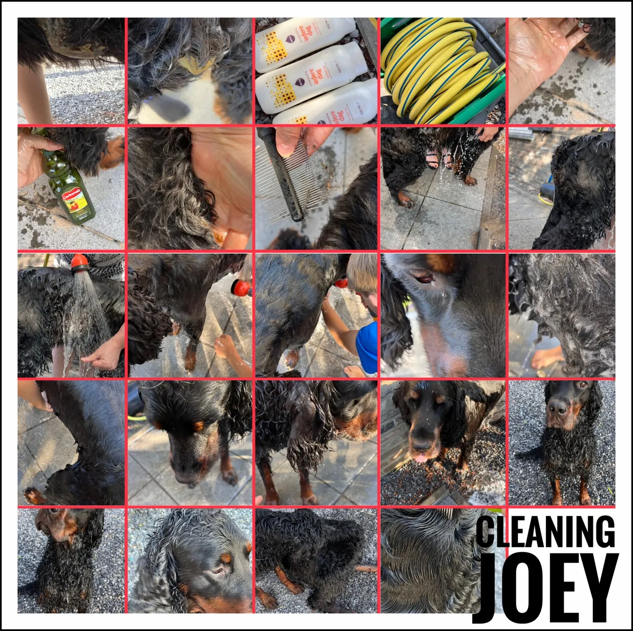 Image from @brittandjosie post