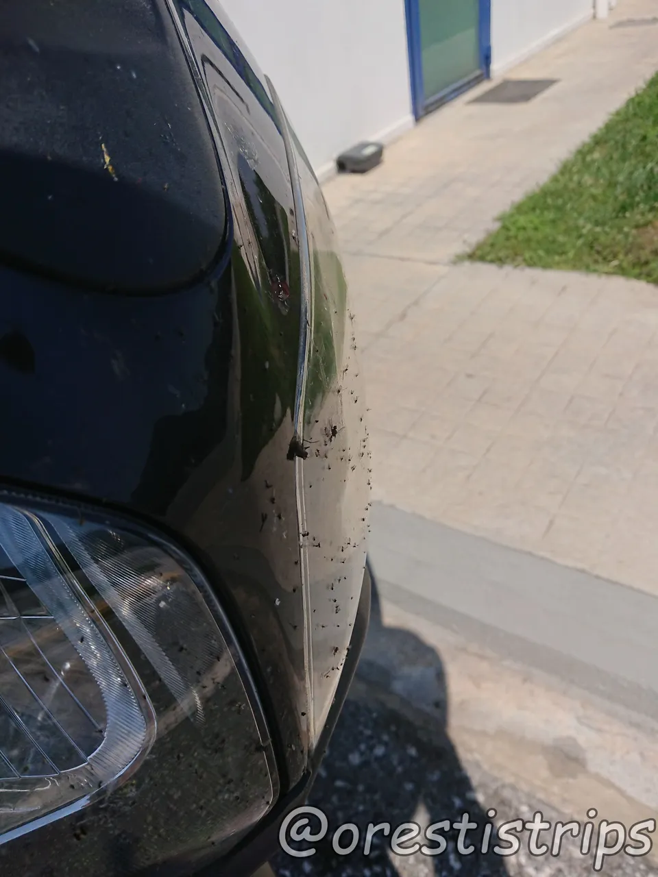 Speaking of "time flies" I remembered the flies my bike caught on the first leg in Greece. Cringy?
