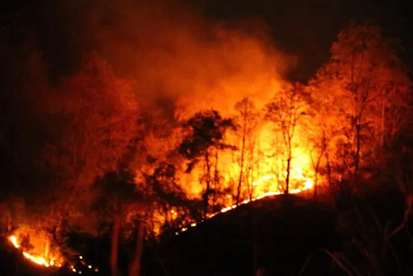 burningseason.jpg