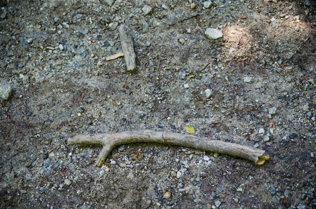 IMGP6194.JPG