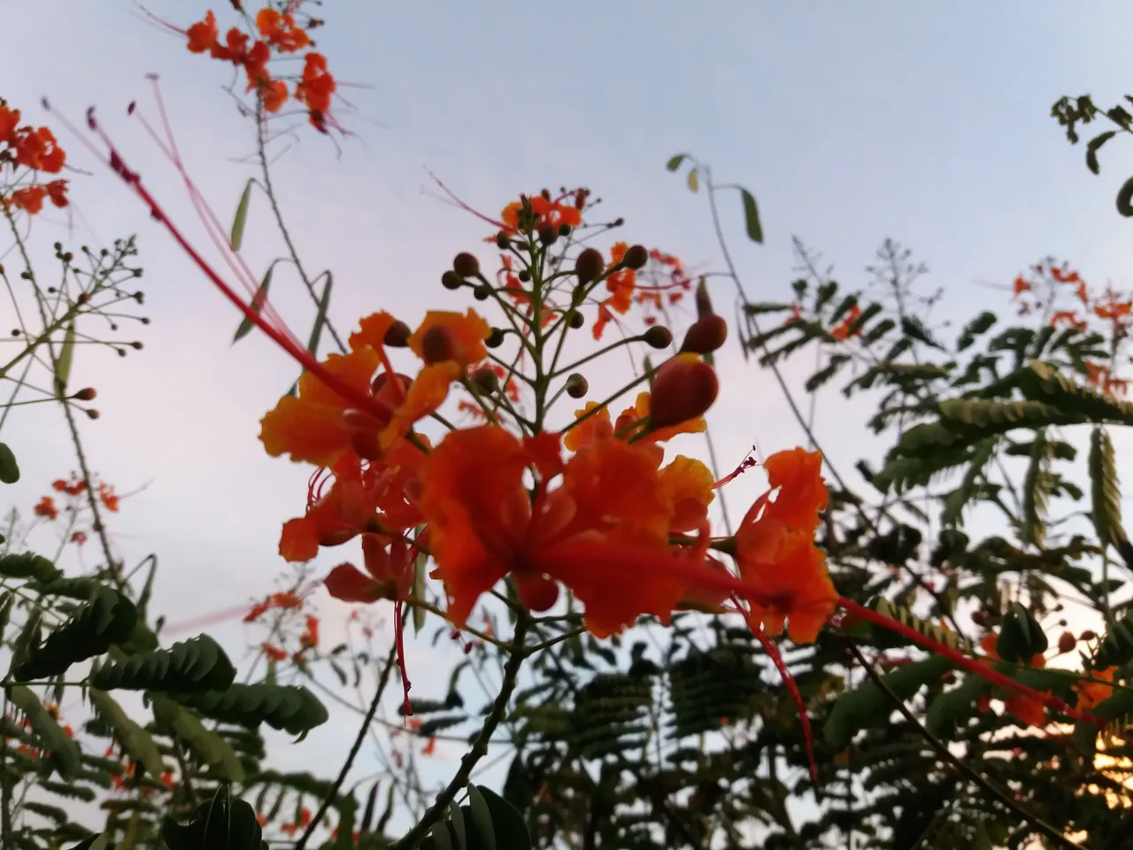 20190729_185731.jpg