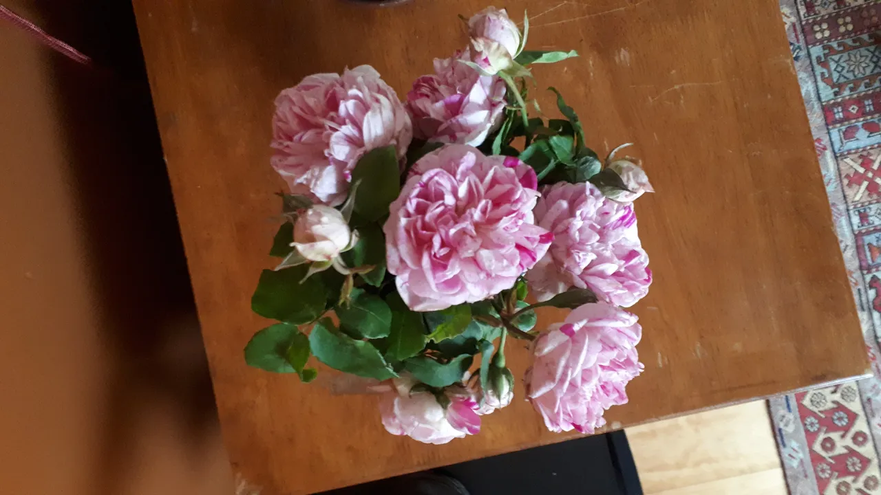 20191110_183756.jpg