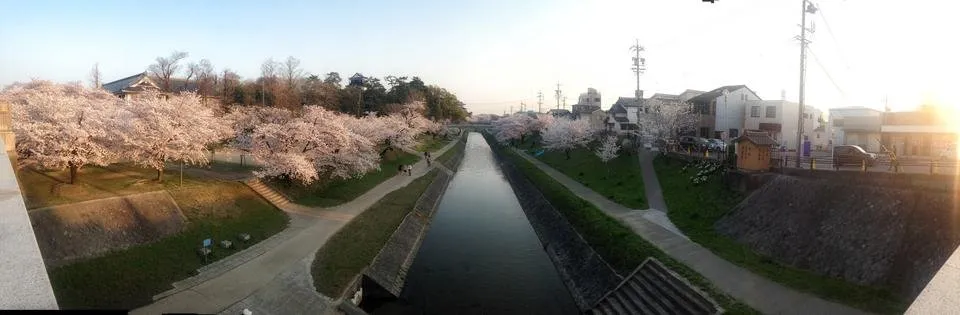 The Wide View