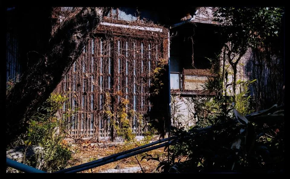 Abandoned and Overgrown
