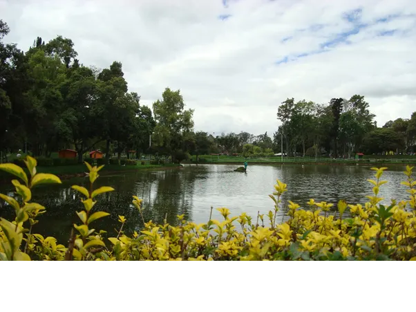 Los Novios Park
