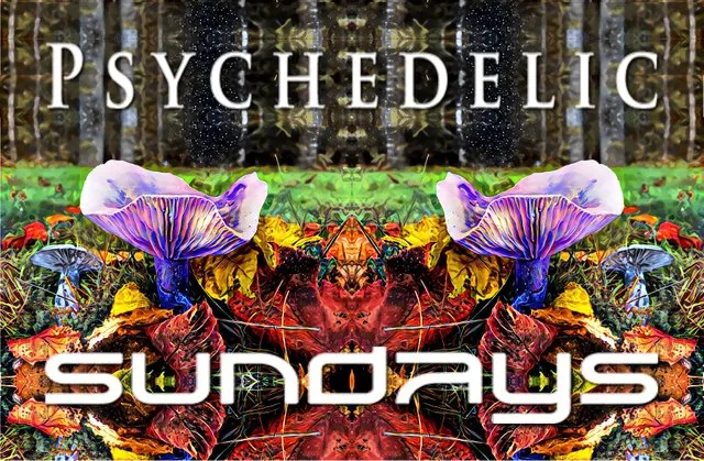 “The psychedelics are a powerful educational tool. They are the surest way to learn the arbitrariness of our ordinary perception. Many of us have had to use them to find out how little we knew.” ― Gregory Bateson