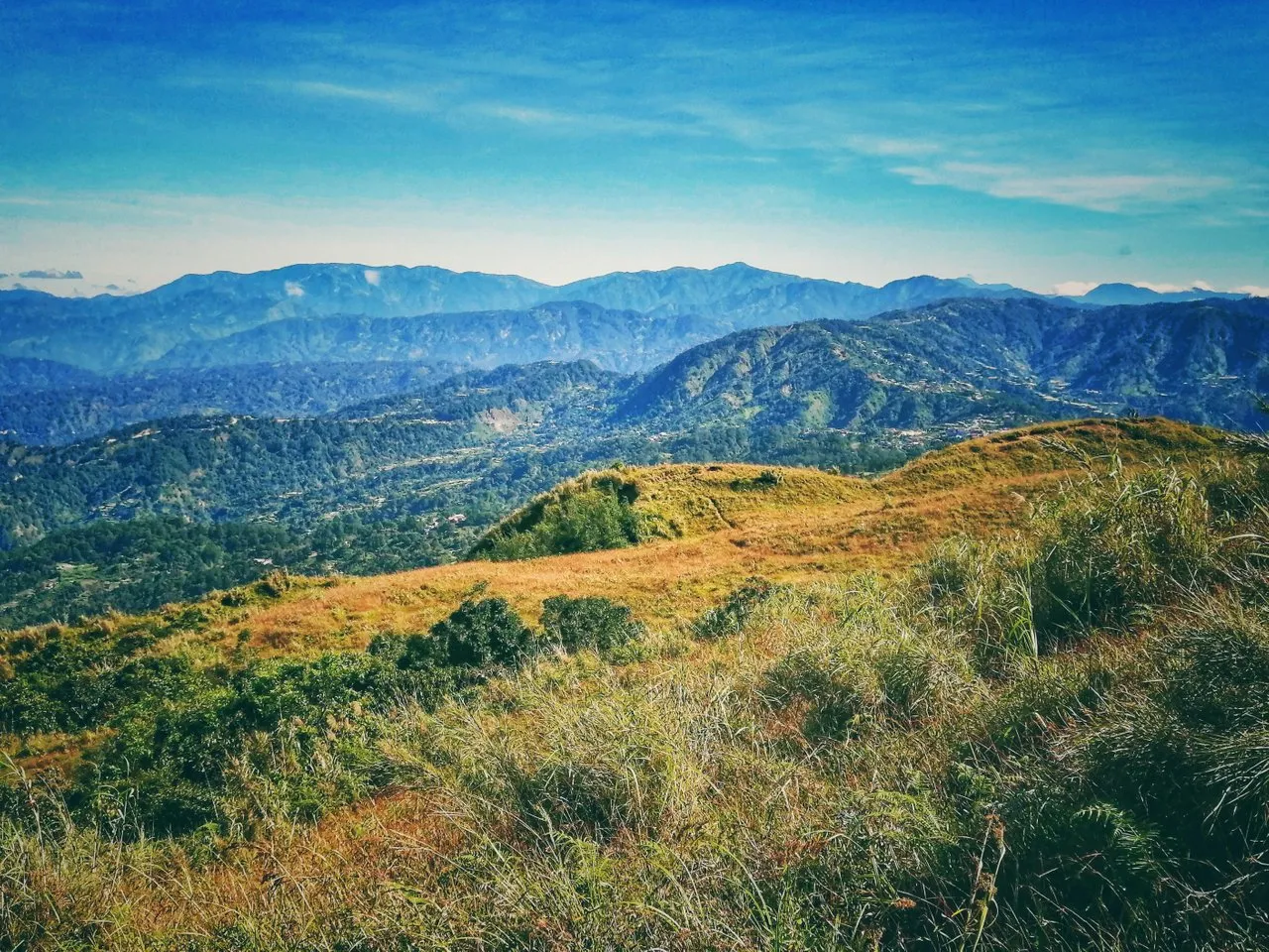 927m2vu8wi.jpg
