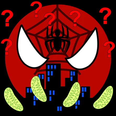 Spiderman wundert sich.png
