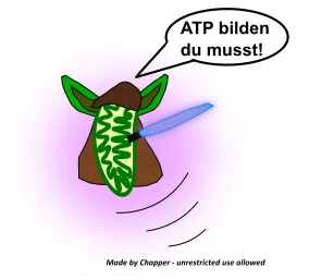 Yoda-Mito.png