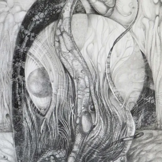 🎨 THE ERRATIC GATHERING OF UNDISCIPLINED BIOMORPHIC OBJECTS ✏️ finished