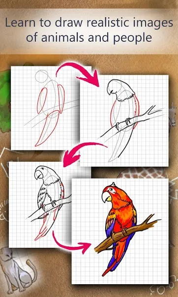bird.jpg