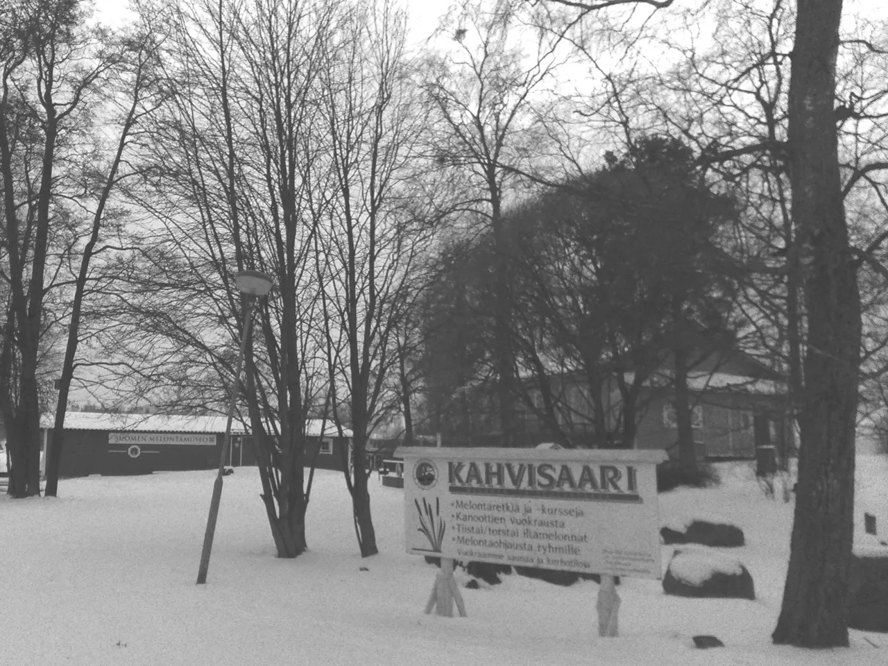 Irony caught me in Kahvisaari (246/365)