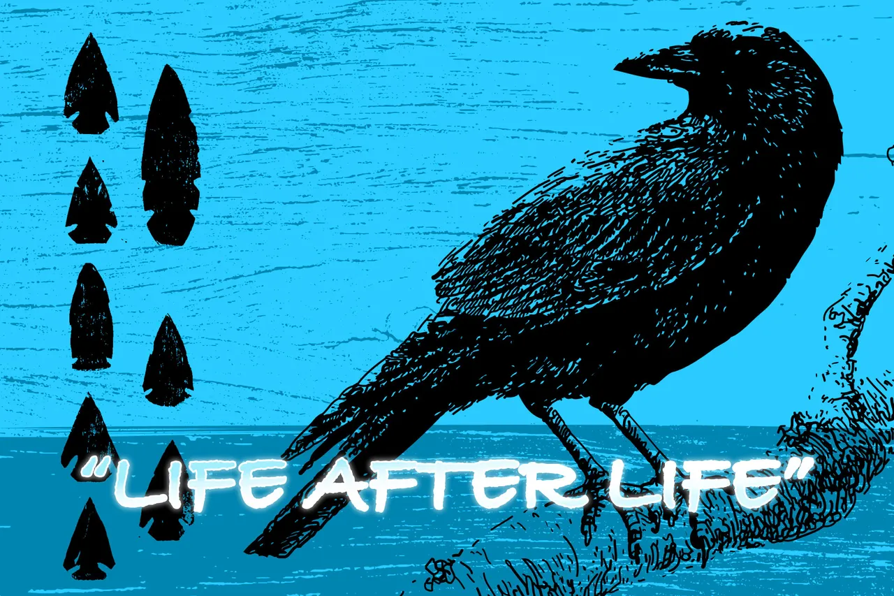Steemit Vision Quest - Week 8: Life After Life