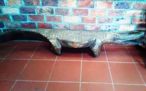 Wooden alligator