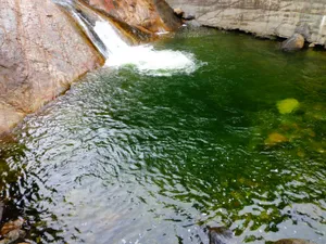Natural water source.