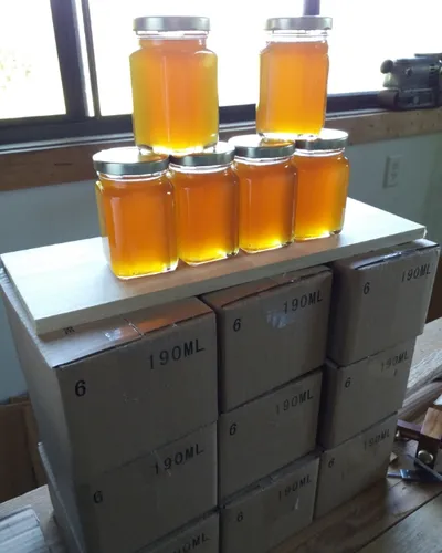 Honey-harvest.jpg