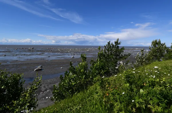 068 7-17-18 cptn cook park low tide.jpg