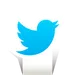 Twitter-icon (2).png