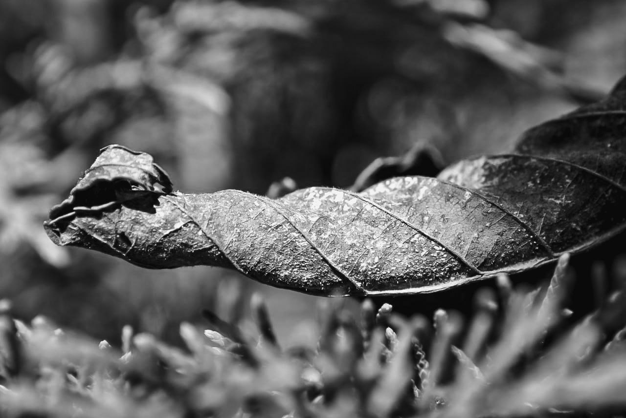 MONOMAD - March 4th, 2026 - Make Sure To Read Our Community And Contest Rules Before Submitting Your Publications.