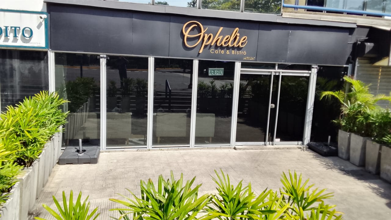 Reflection Hunters Contest  The reflection of the particular / The reflection of the particular