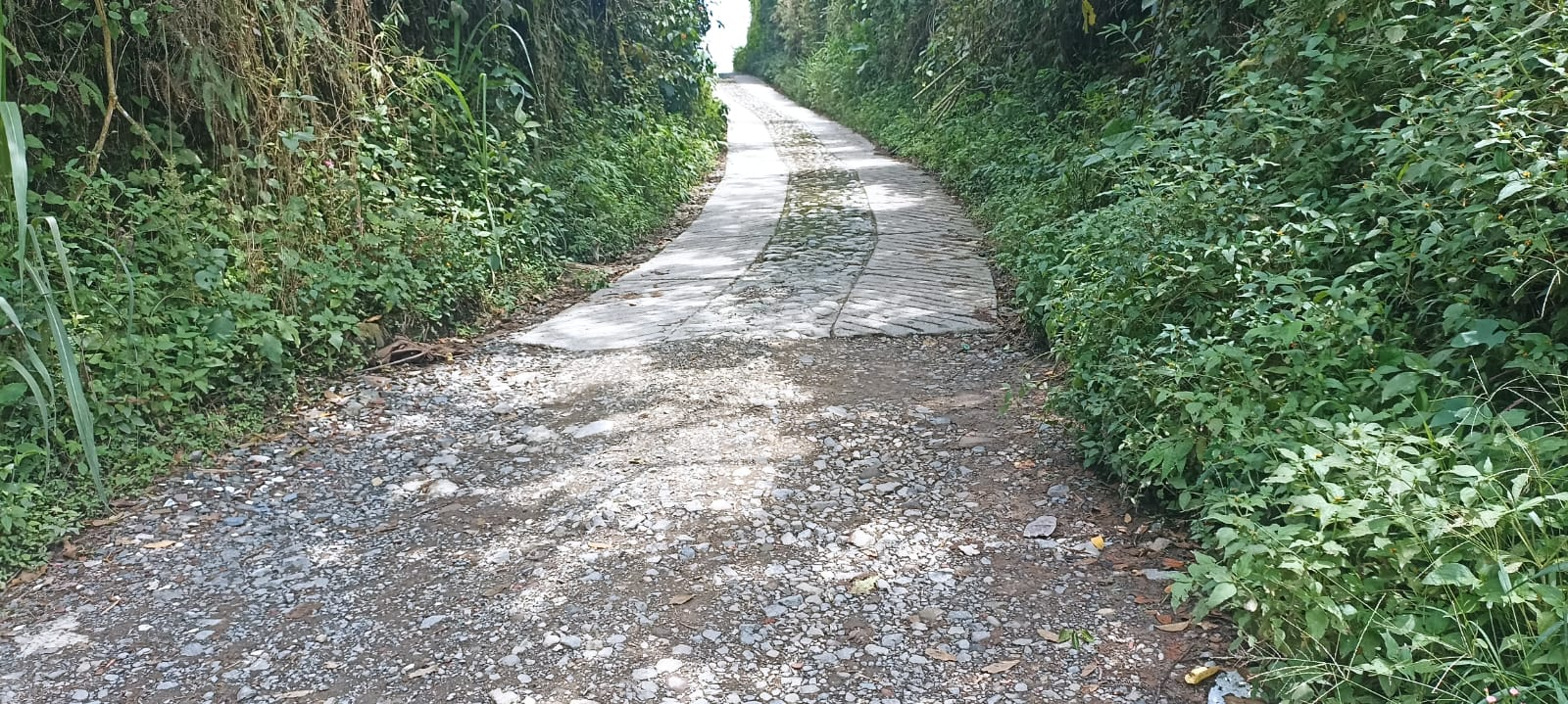 Riding through the Countryside. Phone Photography Contest - #102 (ESP/ENG)