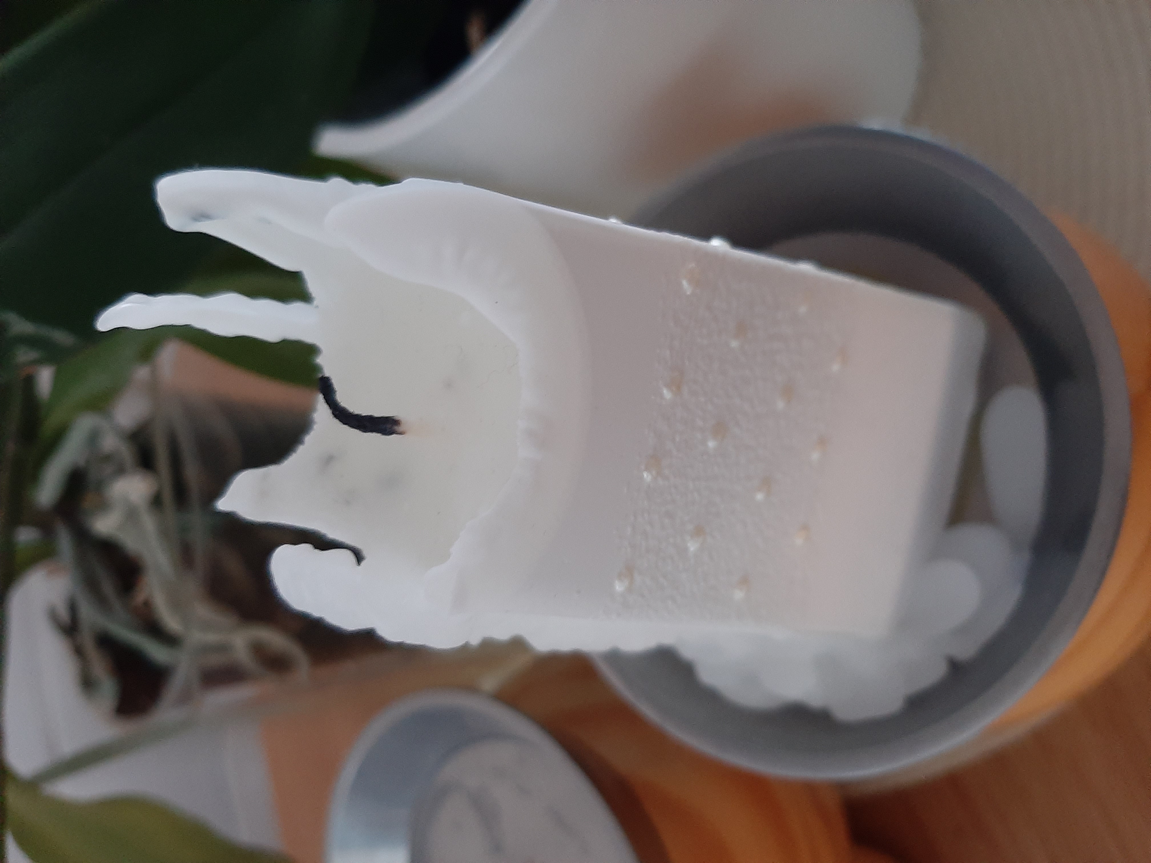 It is still cold -20 , and funny HIVE 