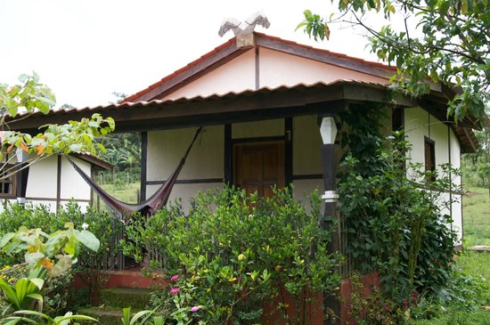 Living Outside Of The System - Developing Decentralized Living