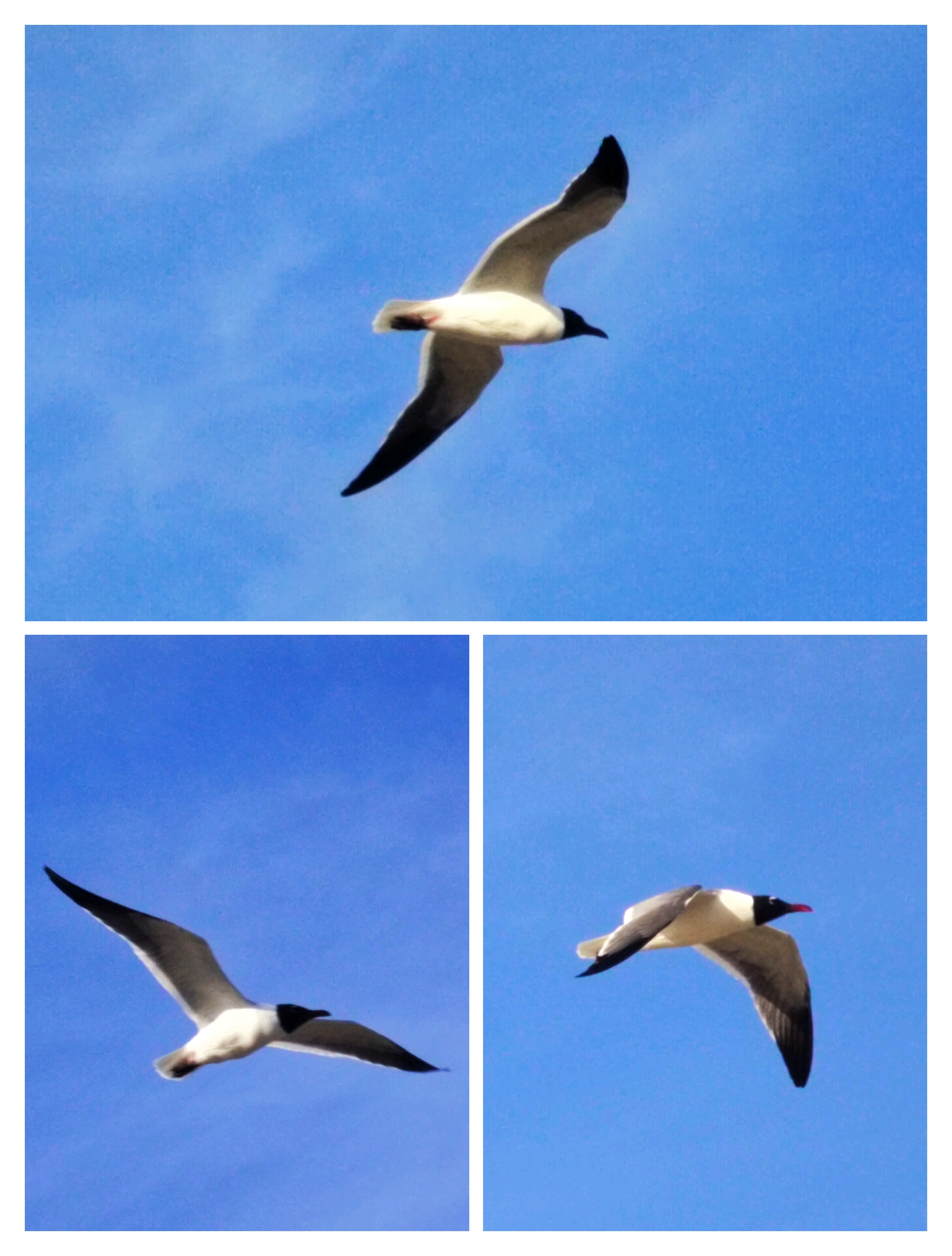 Wednesday Walk: 03.04.2026 - "From around the area"!