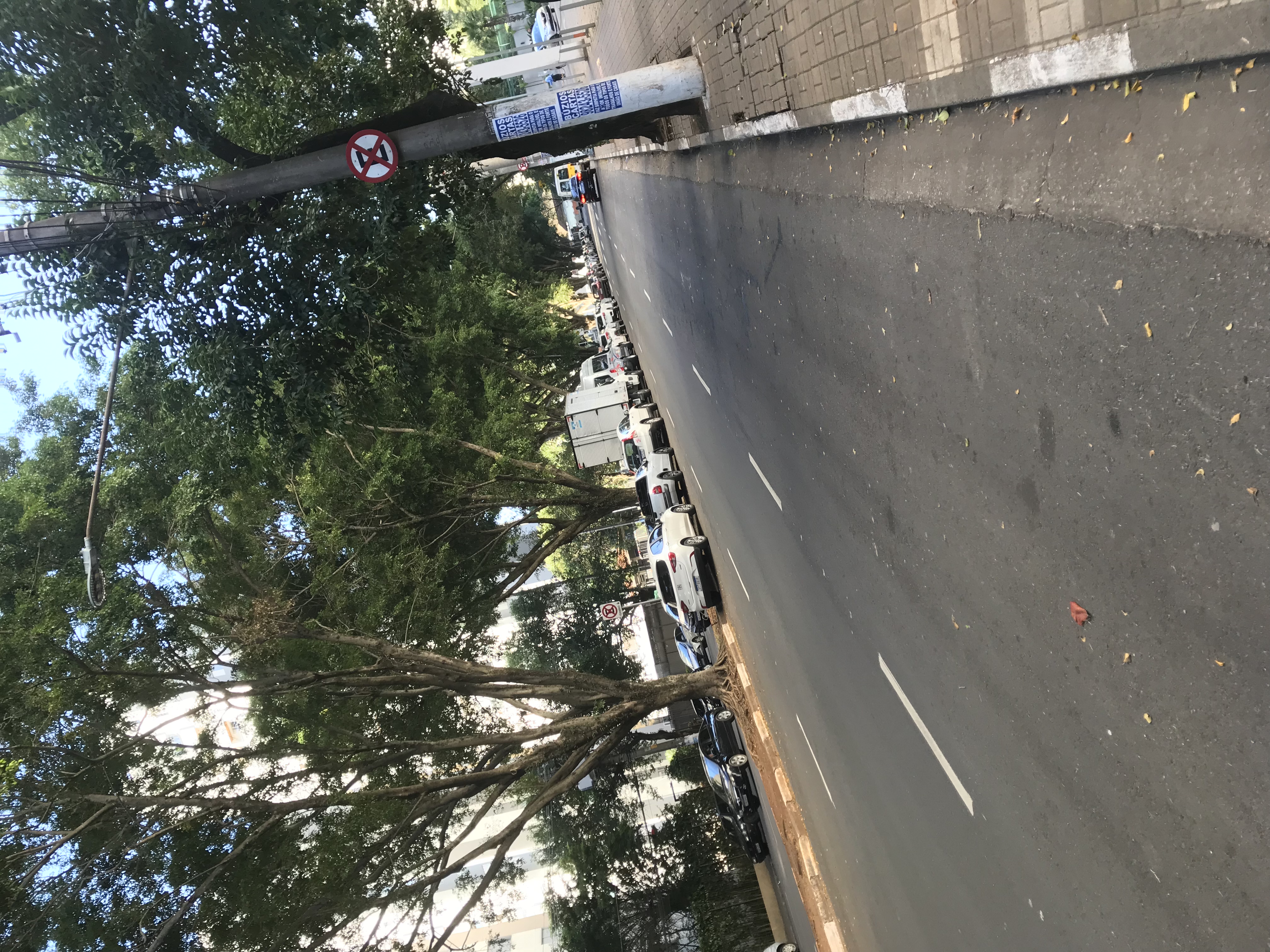 Shooting relaxed in São Paulo