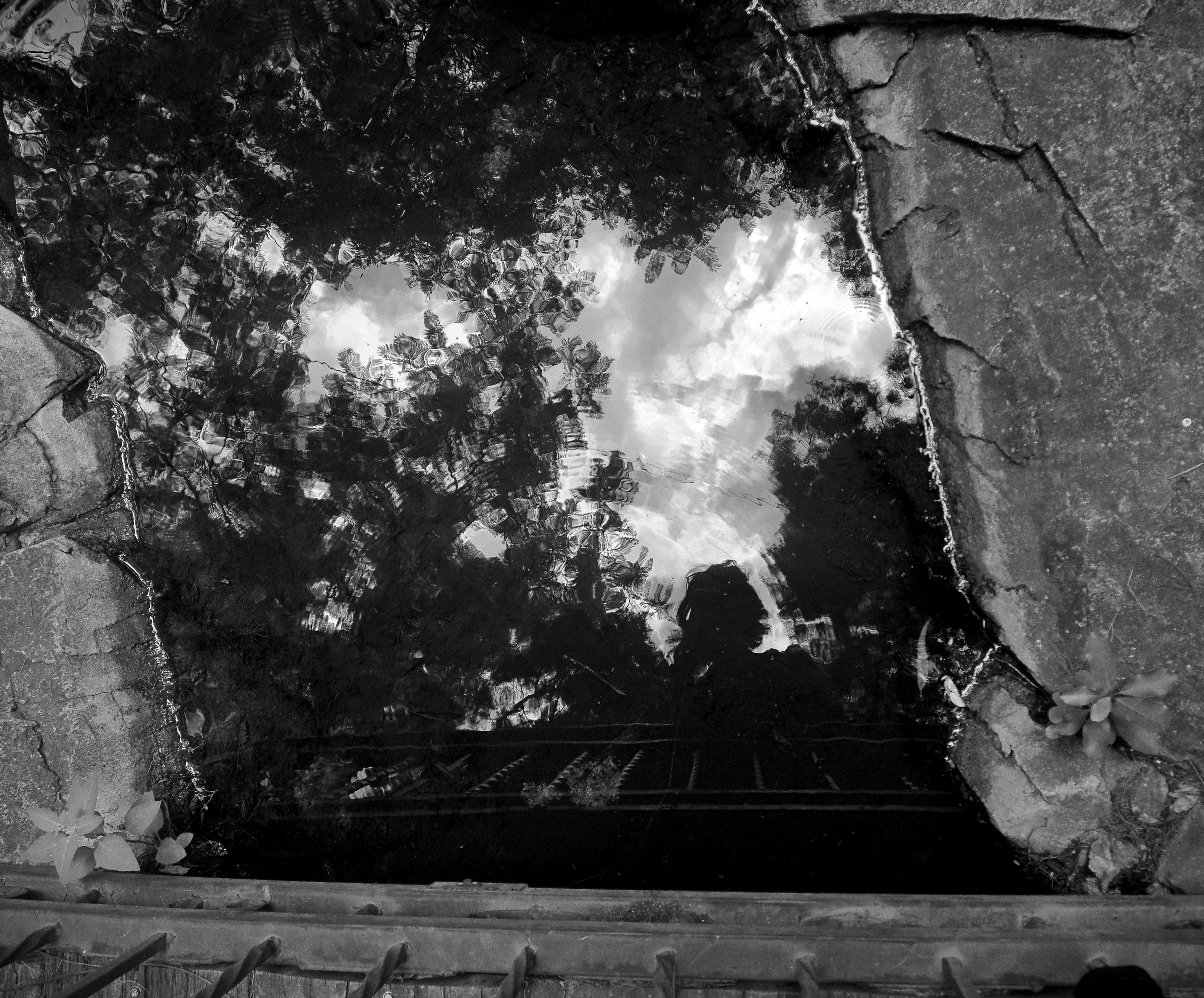 Snapshots - Mildly Moody Bridges