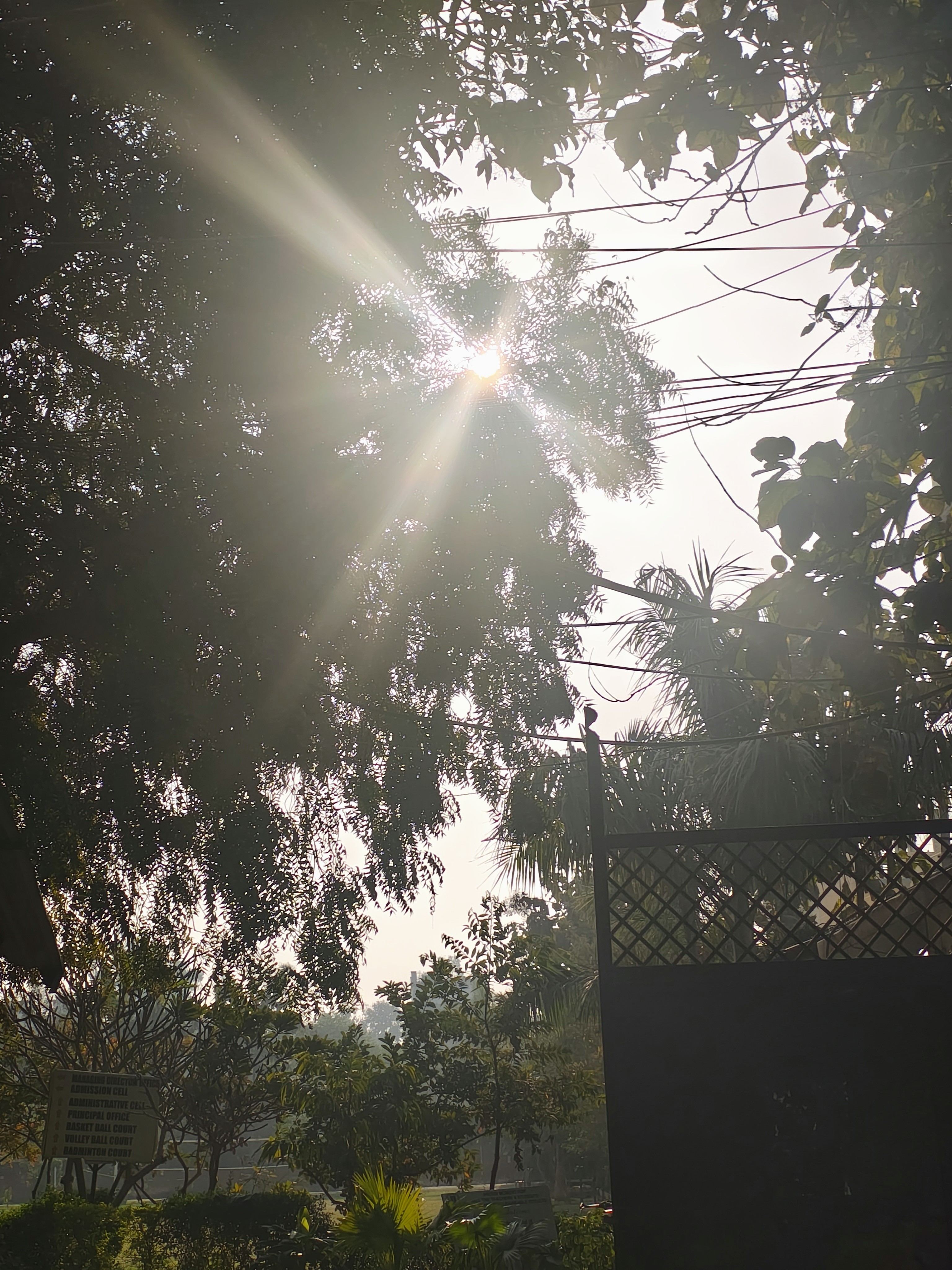 February Sun Feels Like May Already