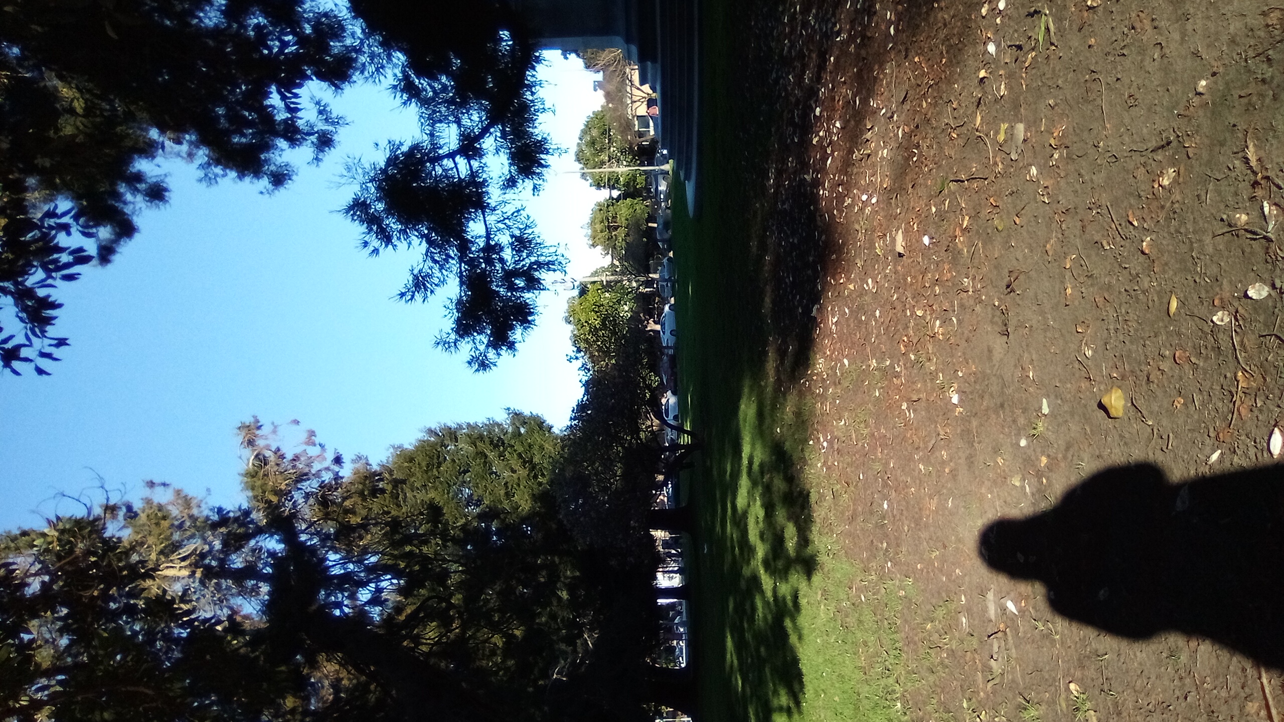 5 March 2026, Freewriters Community Daily Writing Prompt Day 3033: domination of a very tiny world