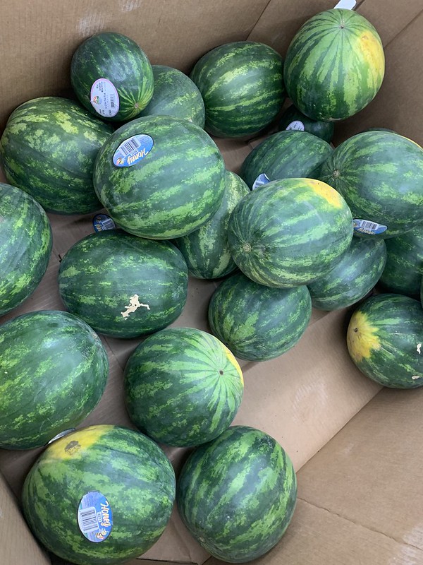Watermelons at HEB