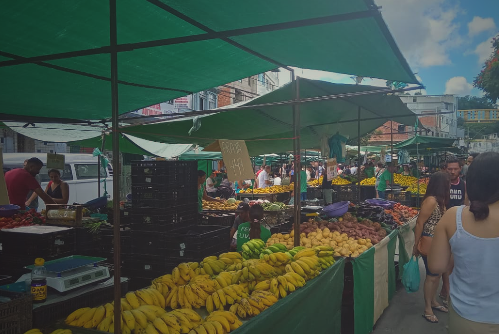 Suco brasileiro [PT/EN]