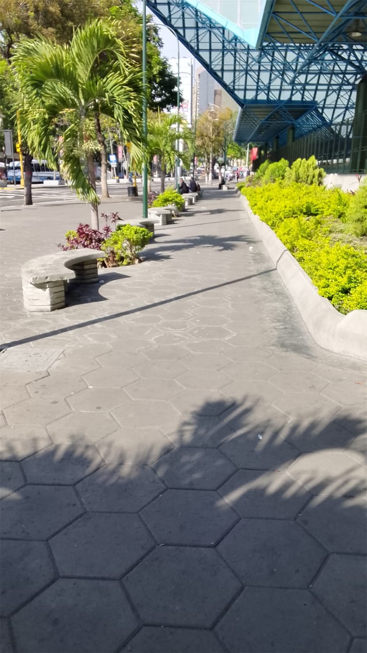 Shadow Hunters Community the shadow of the park protectors / la sombra de los protectores del parque