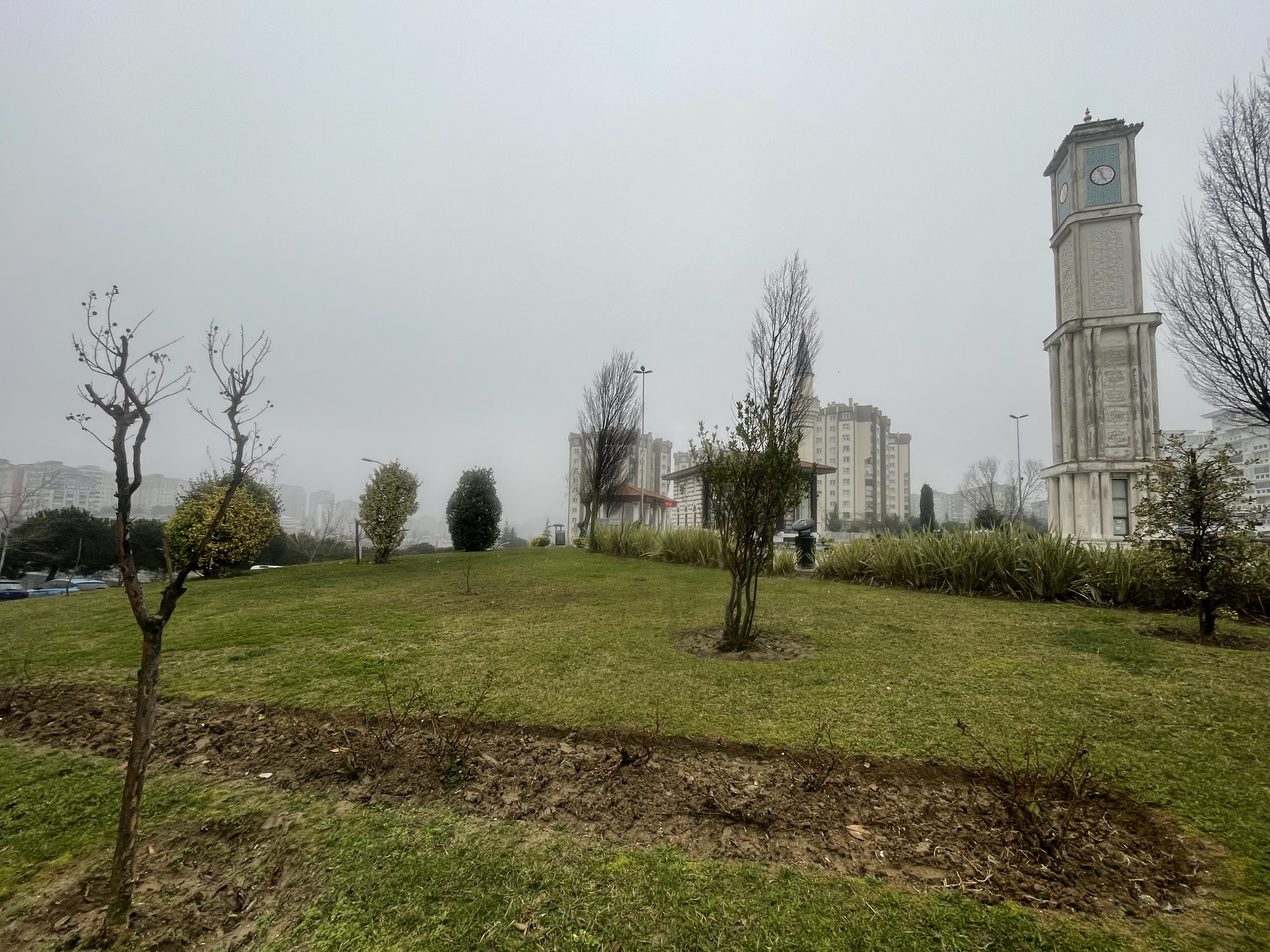 A Foggy Morning Walk in a Big Park 😊