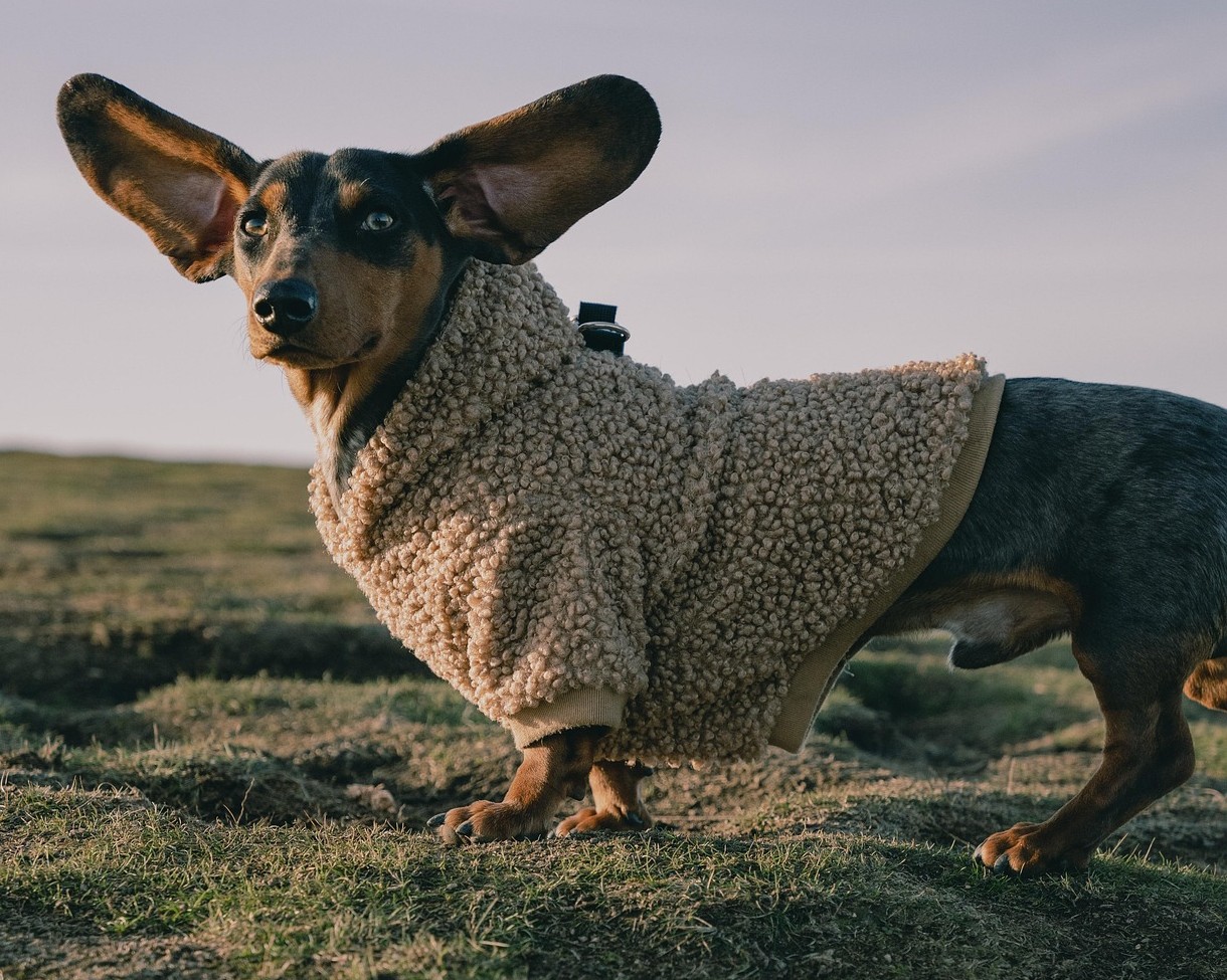 होली में कुछ ज्यादा ही पी ली। 