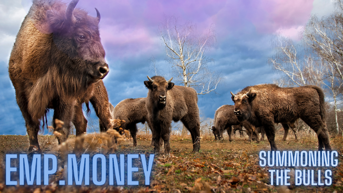 @hetty-rowan/emp-money-summoning-the-bulls