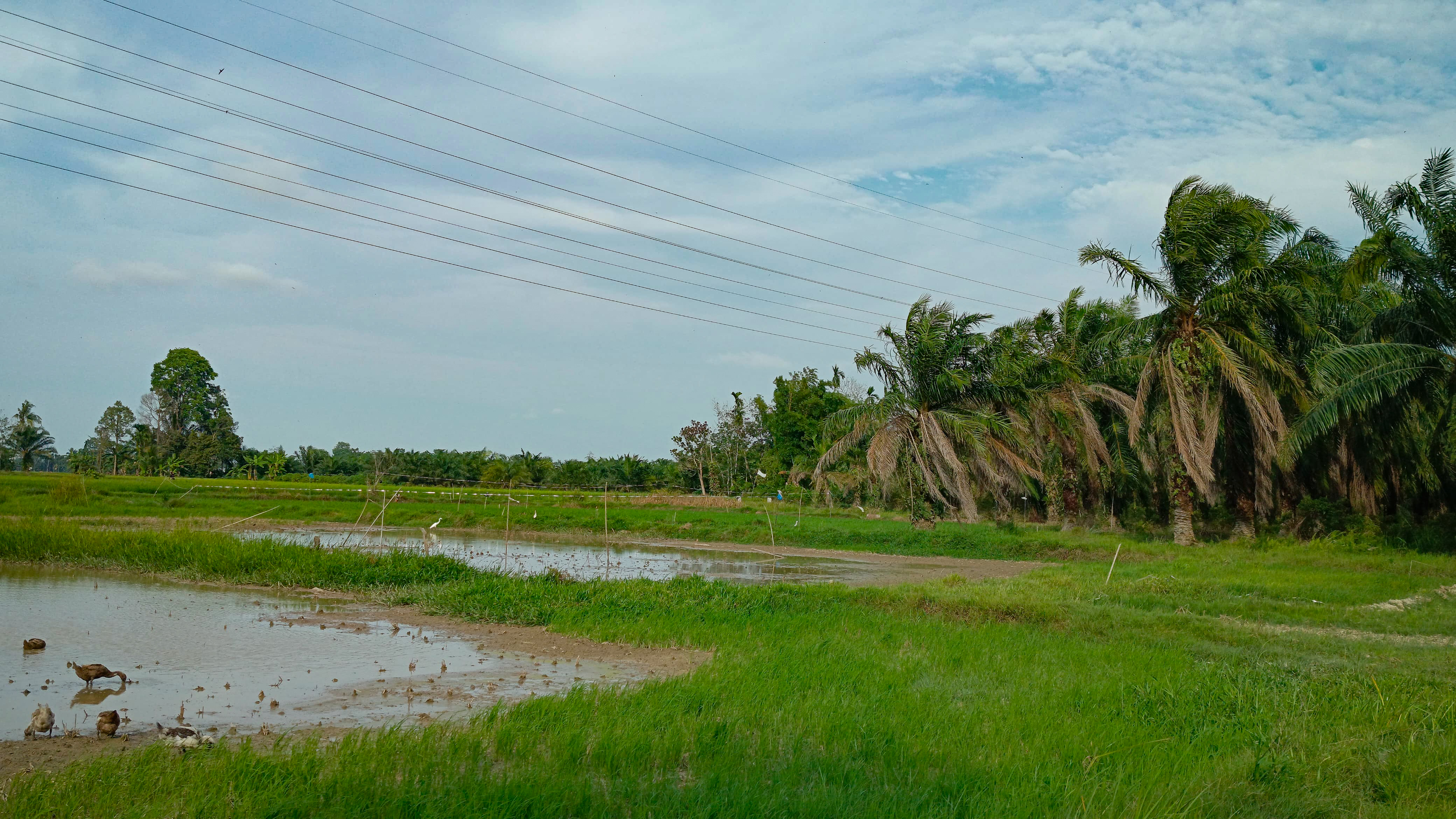 HIDDEN PEACE // Telling stories in the embrace of nature.