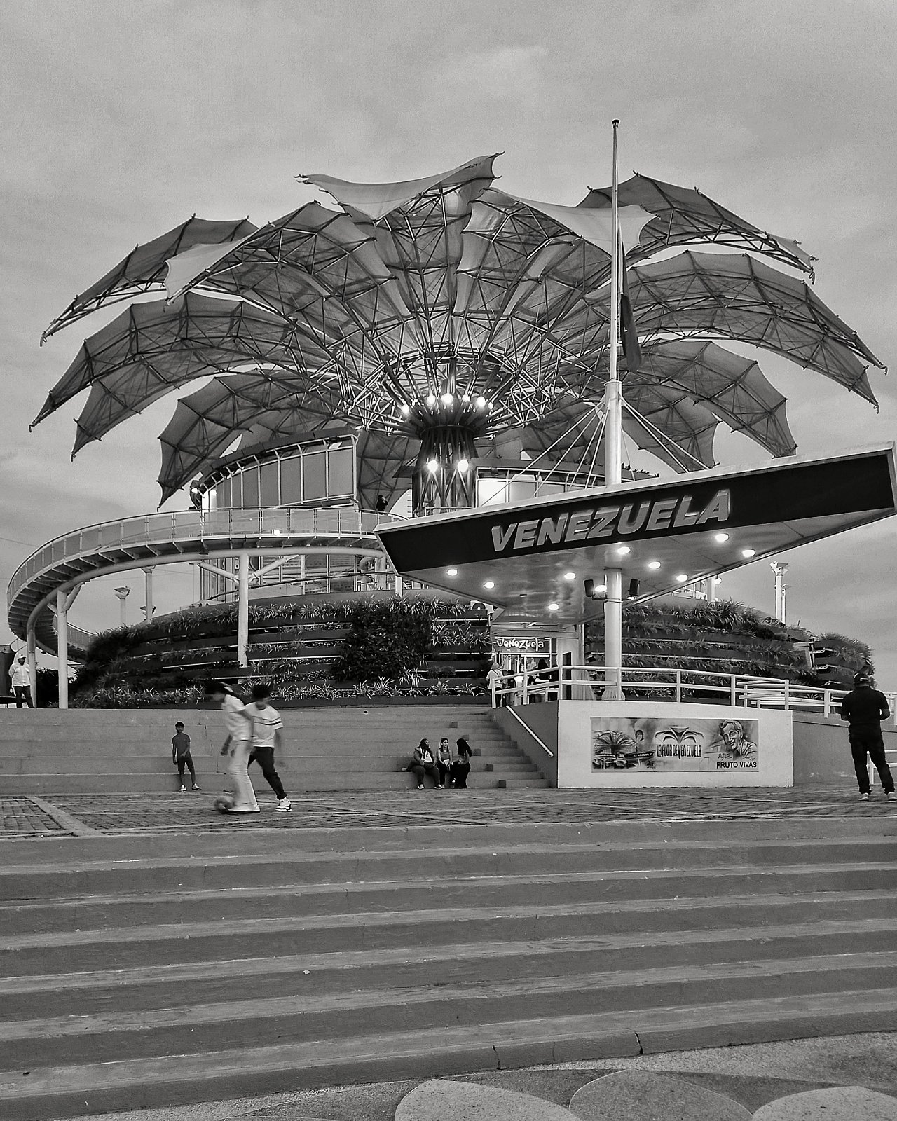 PhotoFeed Contest - Black & White Photography Round 160: The Flower [ENG/ESP]    