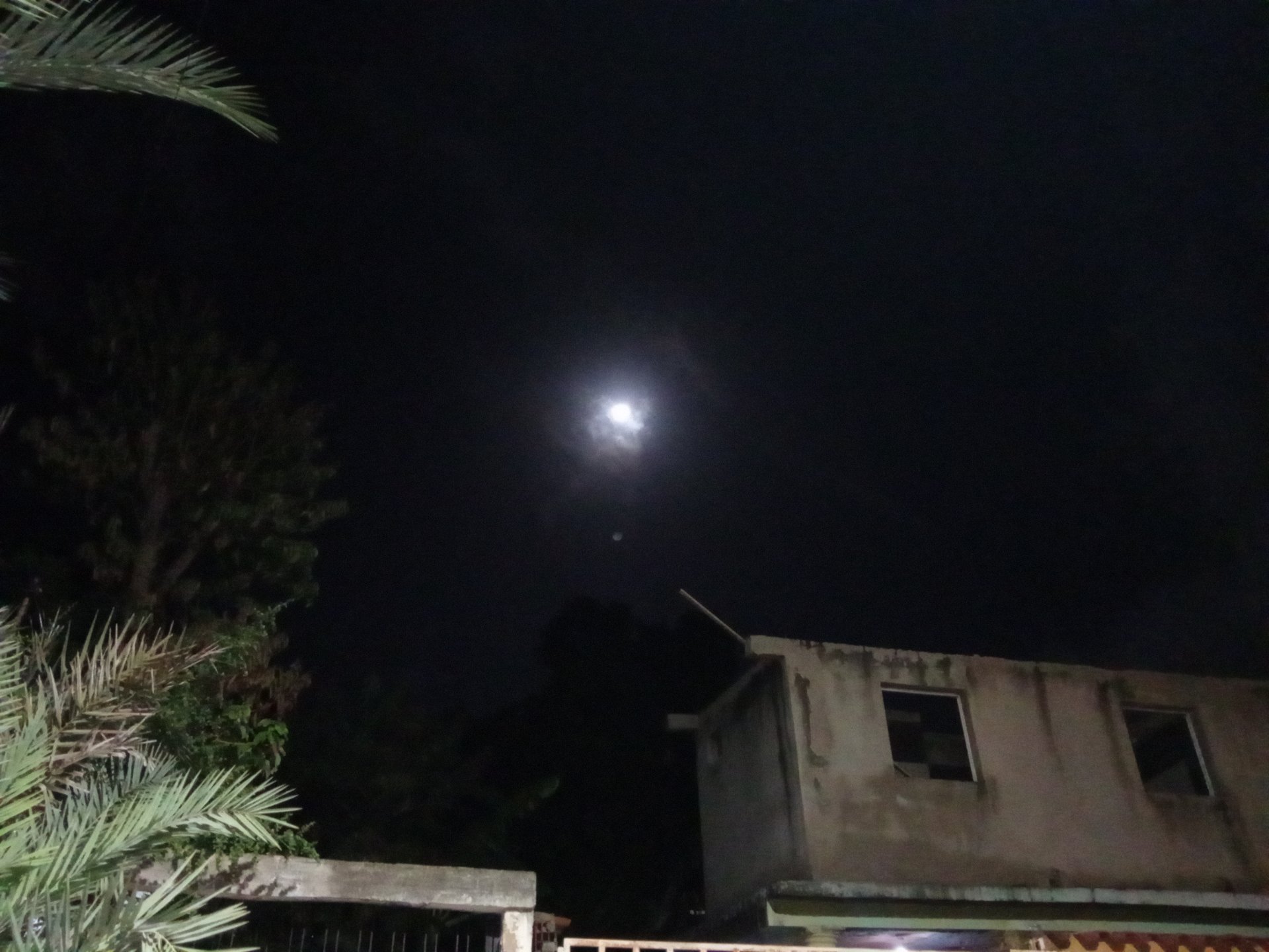 Qurator's Photo Quest | Night Sky