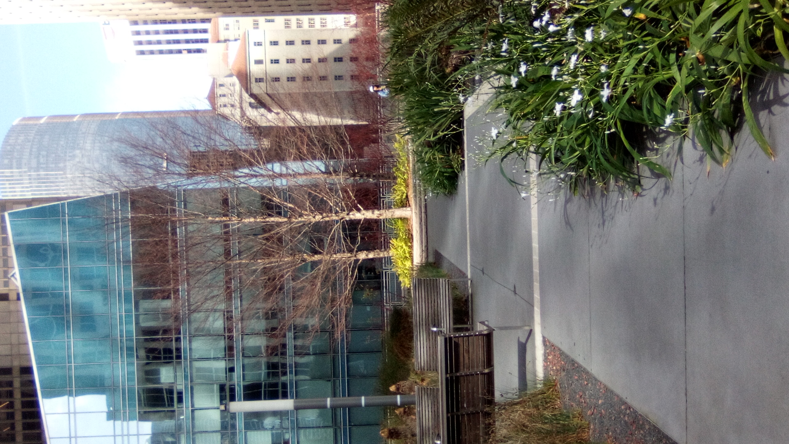 12 March 2026, Freewriters Community Daily Writing Prompt Day 3040: still living with that