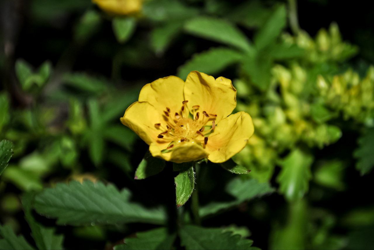 📸  Memories And Emotions Of Warm Days And Evenings  🌿