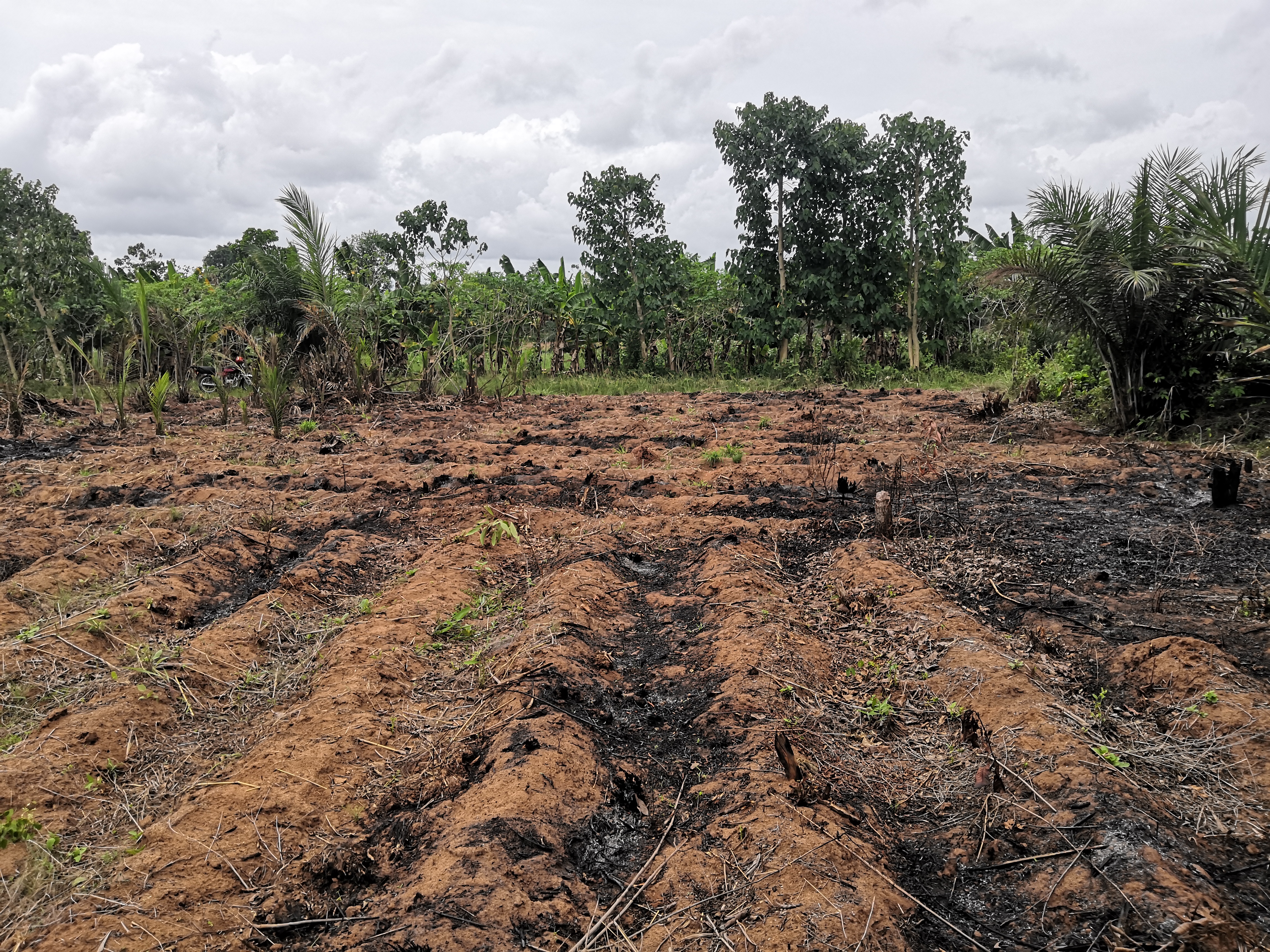 Field Activities: Never Desperate - Achieve Even More